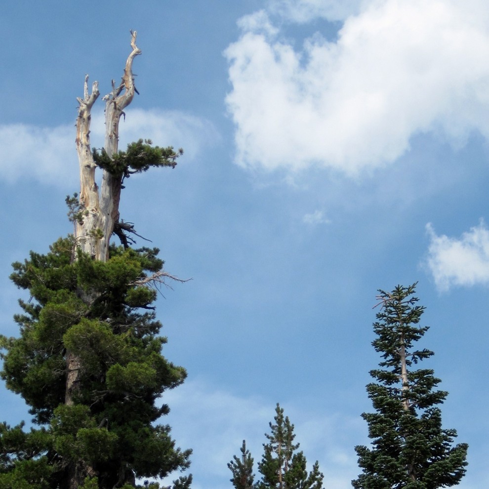 American River, South Fork 3 1