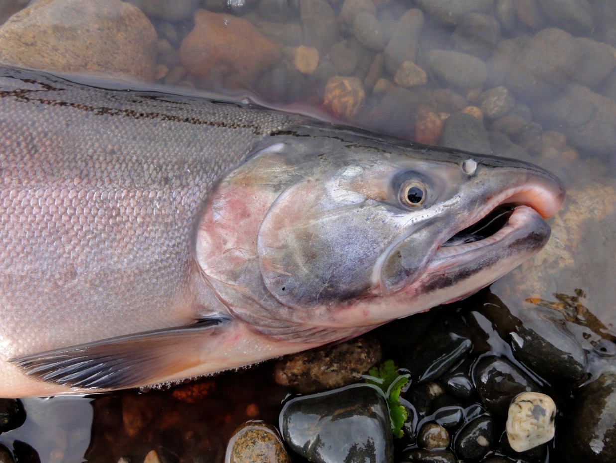 Is that your ass that stinks?