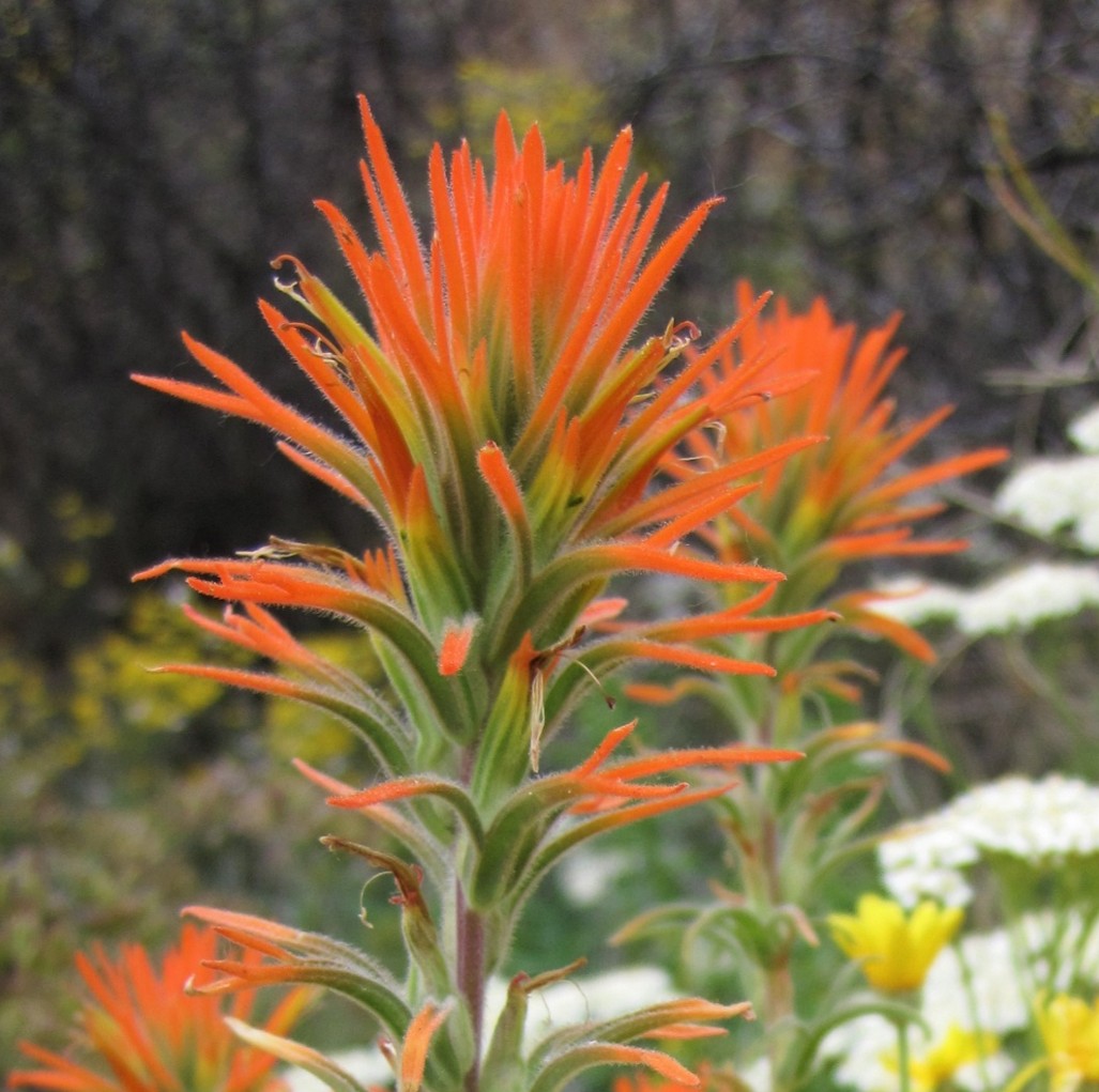 Klamath River, Camp Creek 2 2