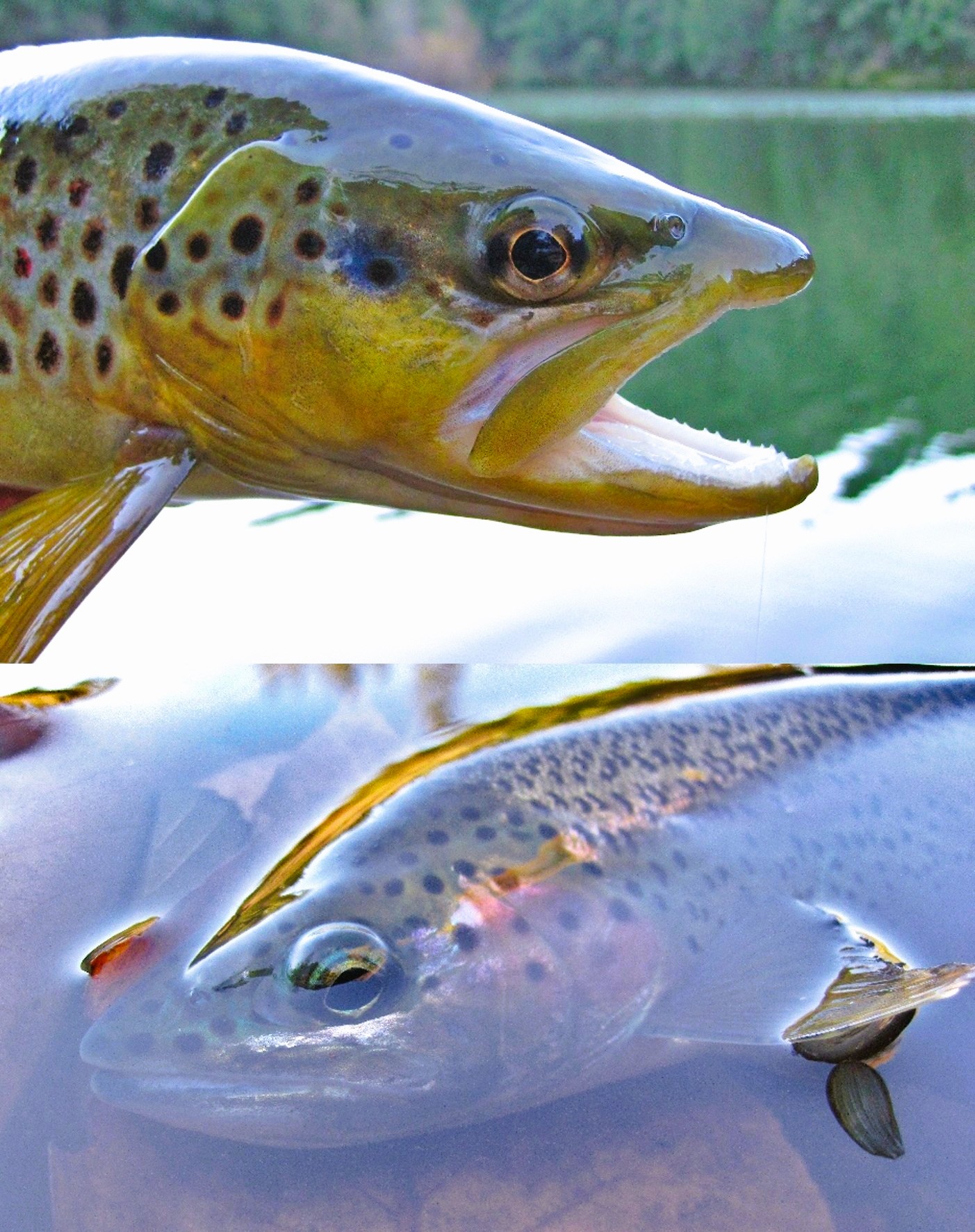 We Between in Winter