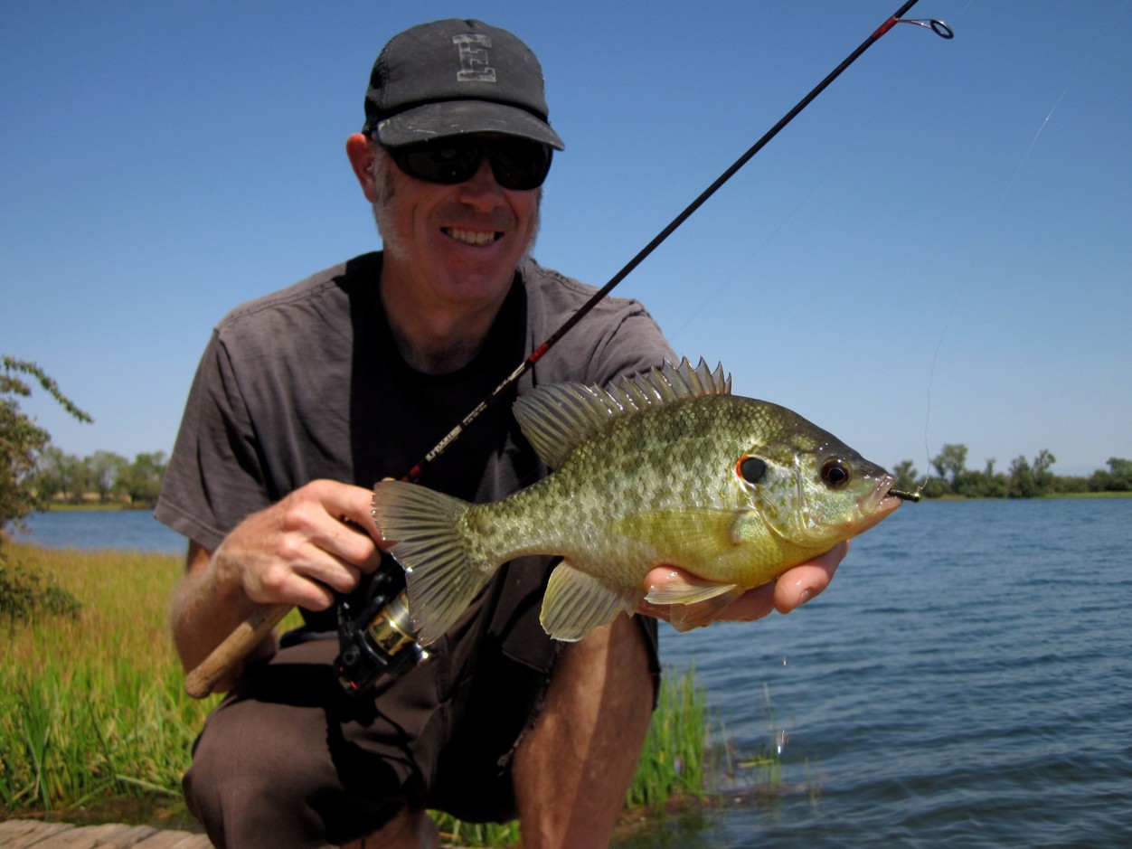 The Fish Porn Commandments