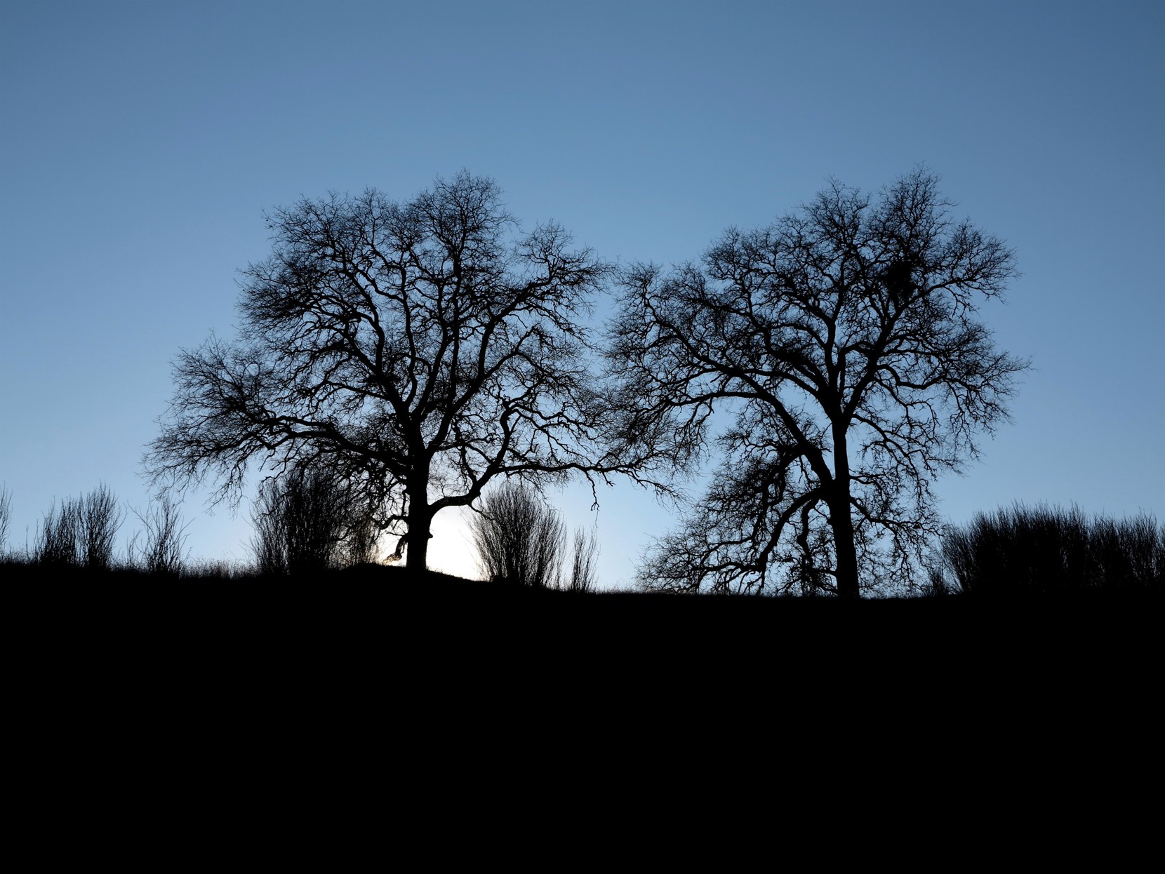 American River Watershed